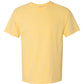 Youth Short Sleeve Comfort Color T-Shirt