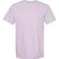 Youth Short Sleeve Comfort Color T-Shirt
