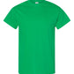 Gildan Adult Cotton T-Shirt S-XL